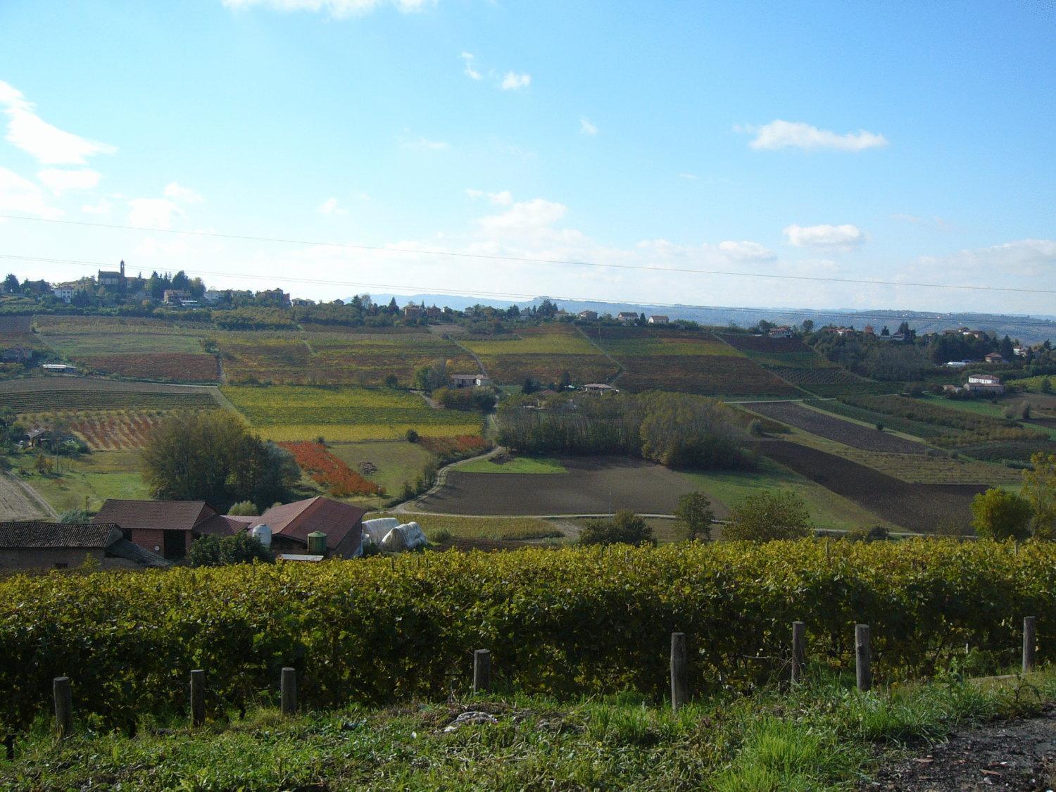 Agriturismo Podere La Piazza Costigliole d'Asti Exterior foto